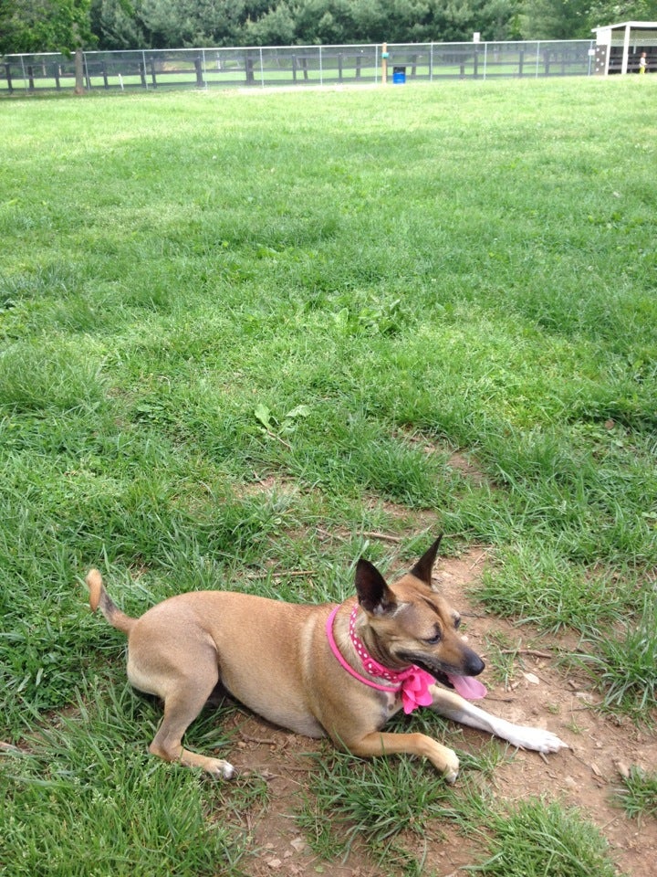 Vincent, OH Map & Directions MapQuest