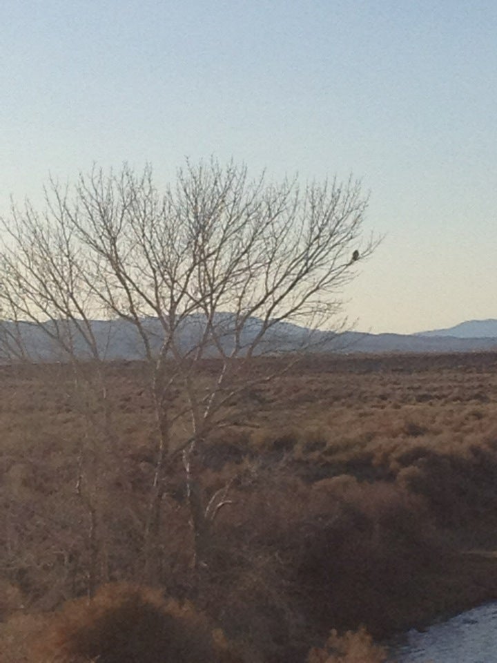 Soda Lake, Fallon, NV, Lake MapQuest