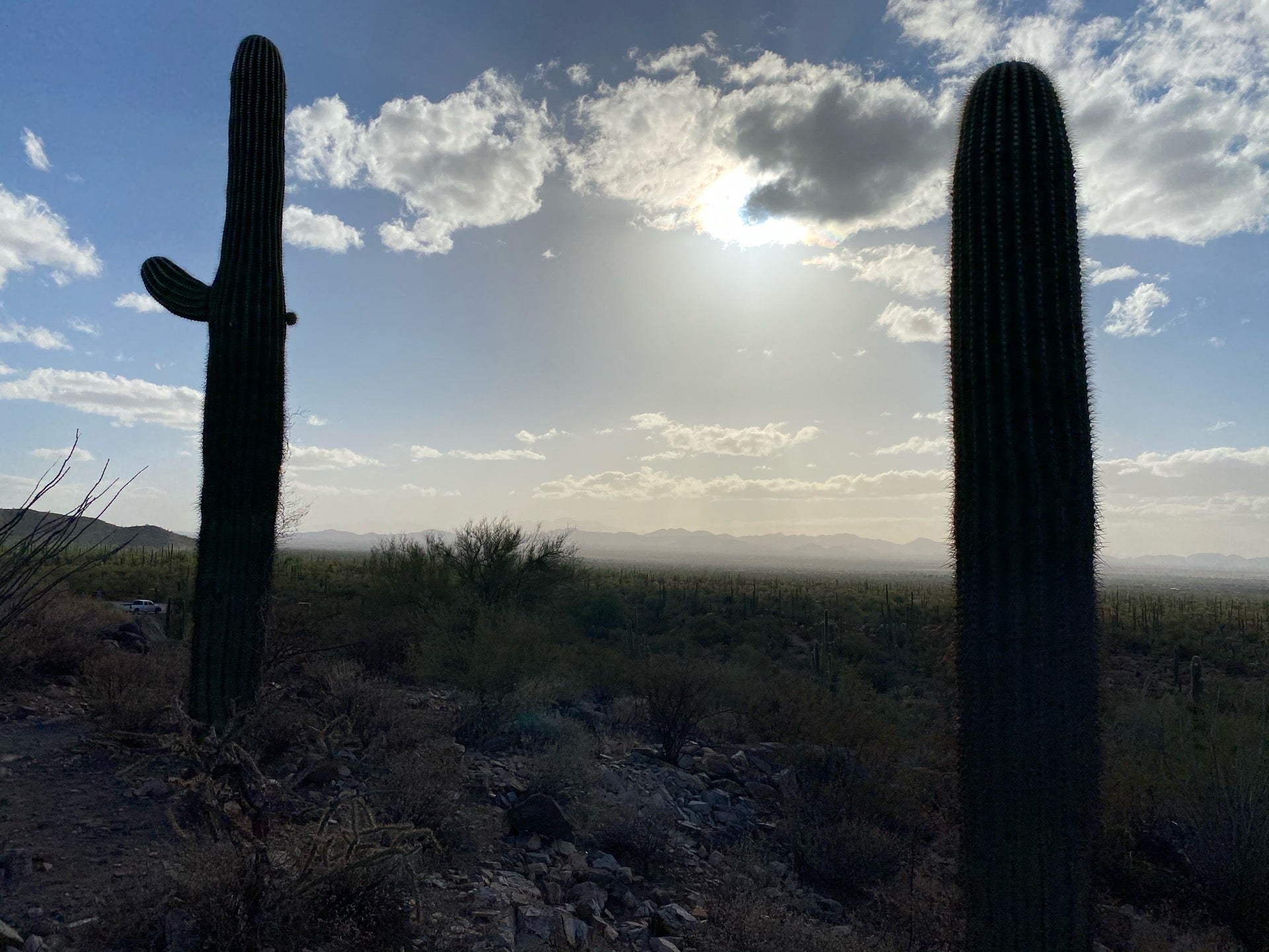 Signal Hill, Signal Hill Rd, Tucson, AZ, Trail MapQuest