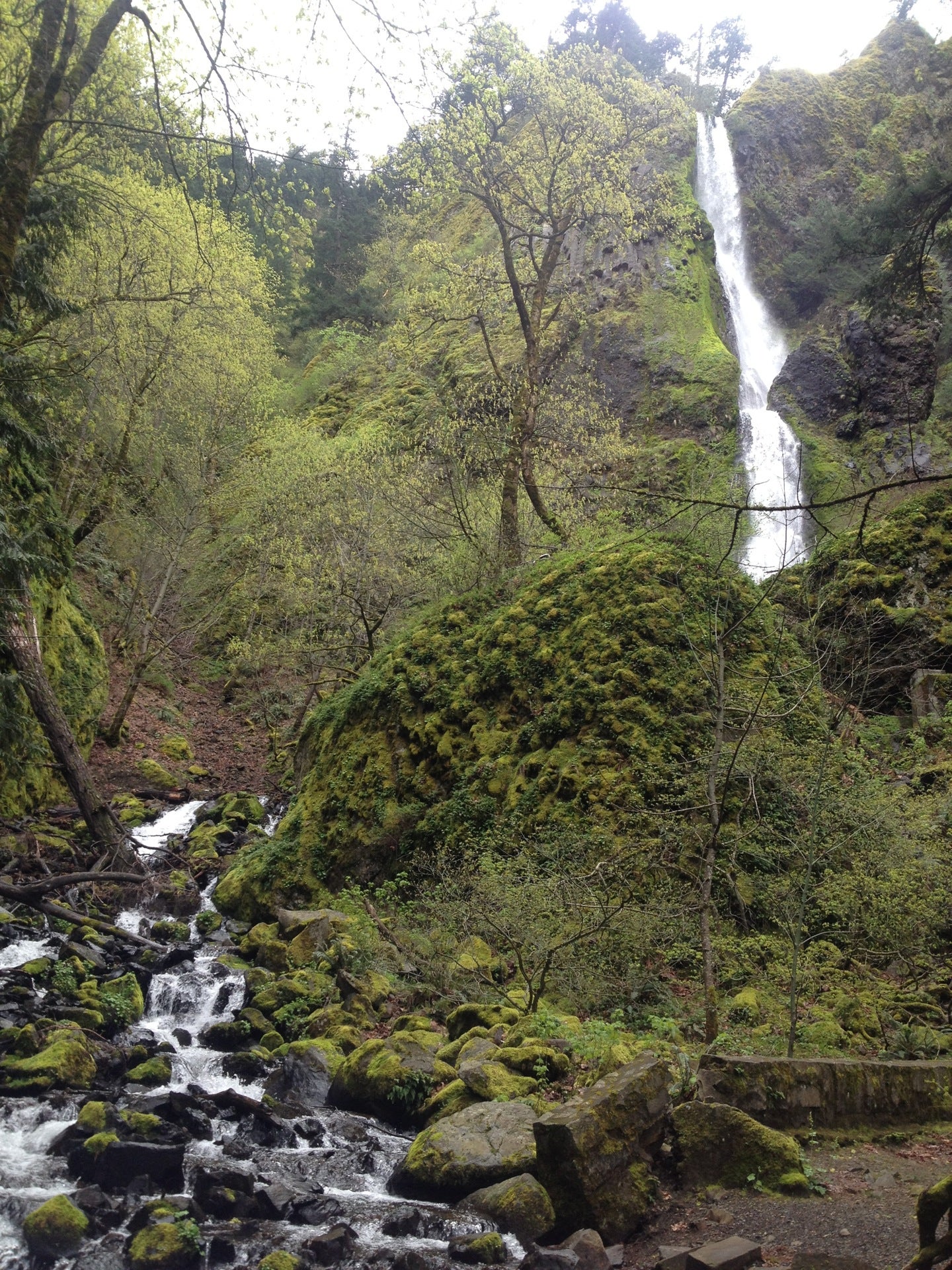 Starvation Creek Trailhead, Starvation Crk, Cascade Locks, OR, Outdoor