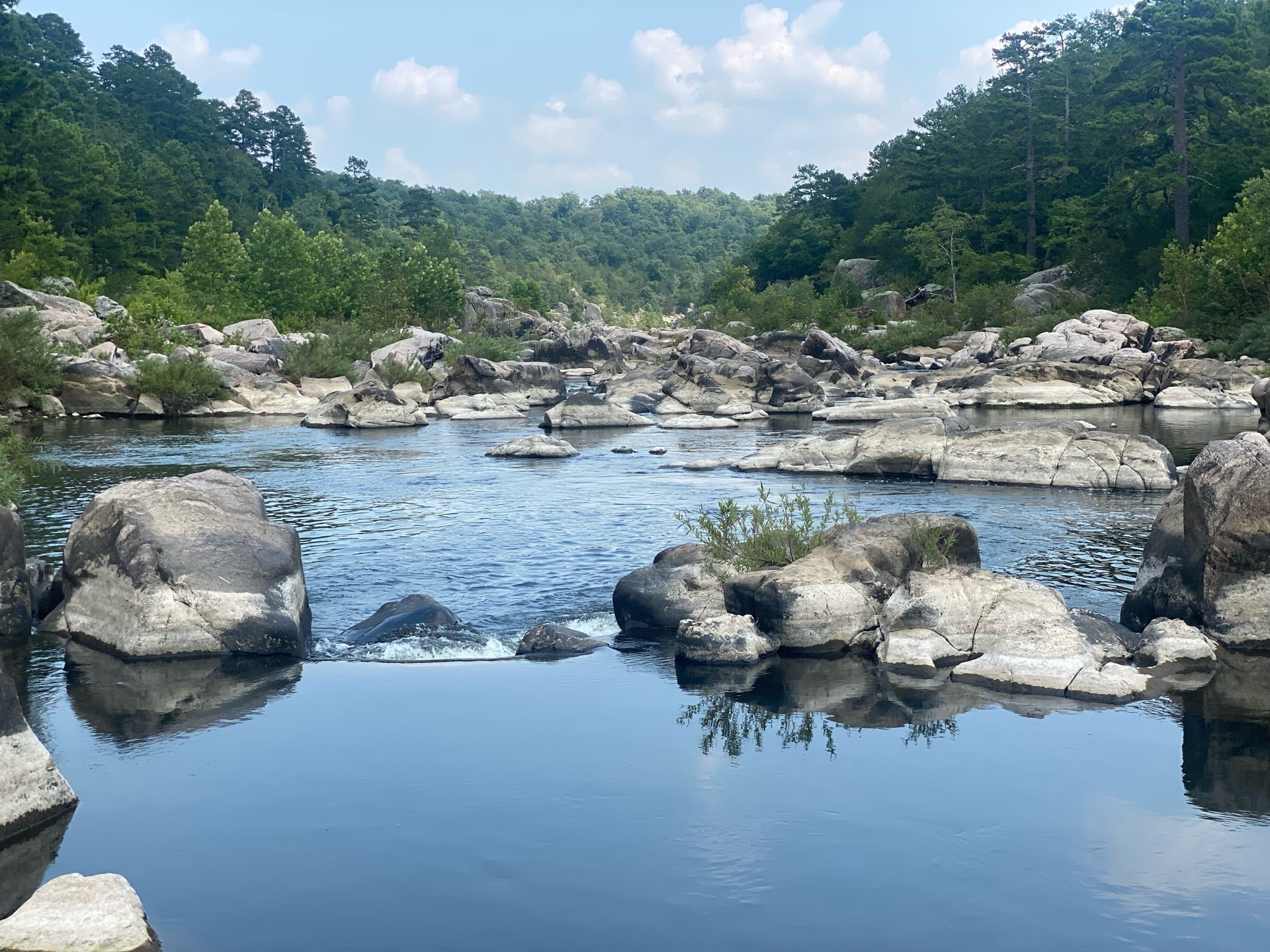 Millstream Gardens Conservation Area Fasci Garden