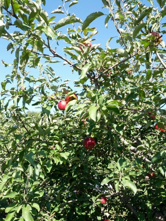 Cherry Valley, IL Map & Directions MapQuest