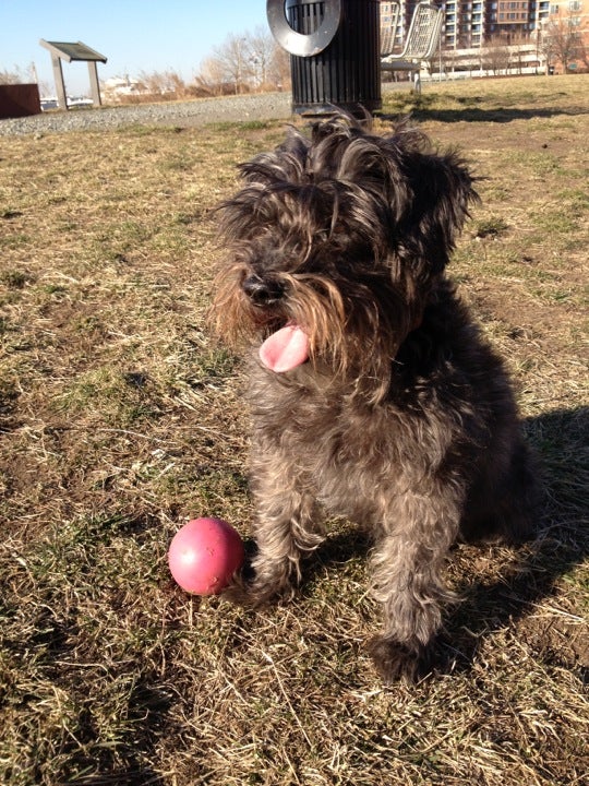 Colgate Center Park, Essex Street, Jersey City, NJ MapQuest