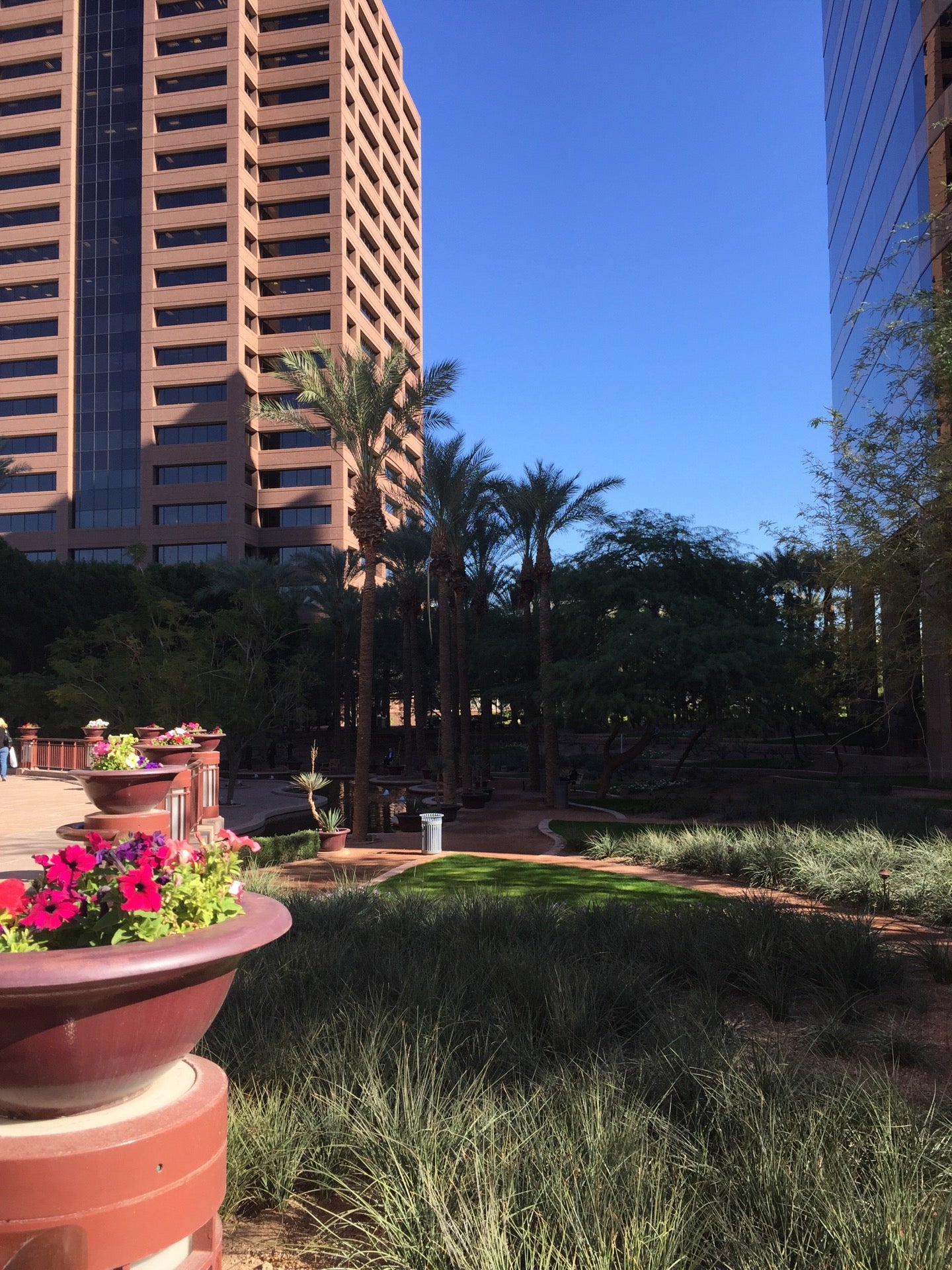 Az Center Garden Area, E Van Buren St, Phoenix, AZ MapQuest