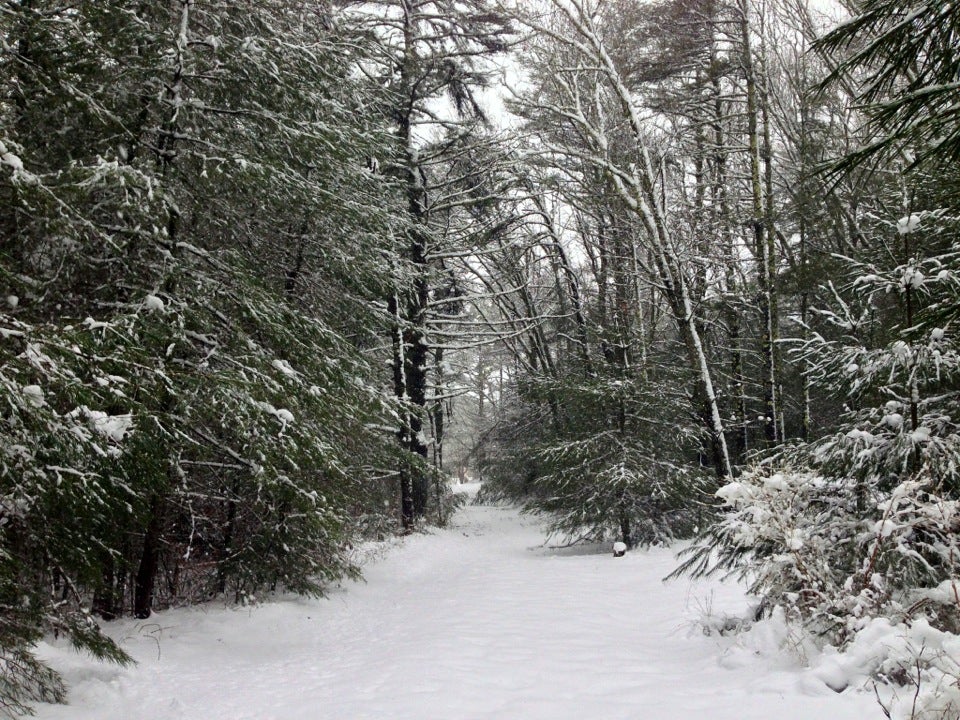 Williams R D Sawmill, 65 Wareham St, Carver, MA, Hardware Stores - MapQuest