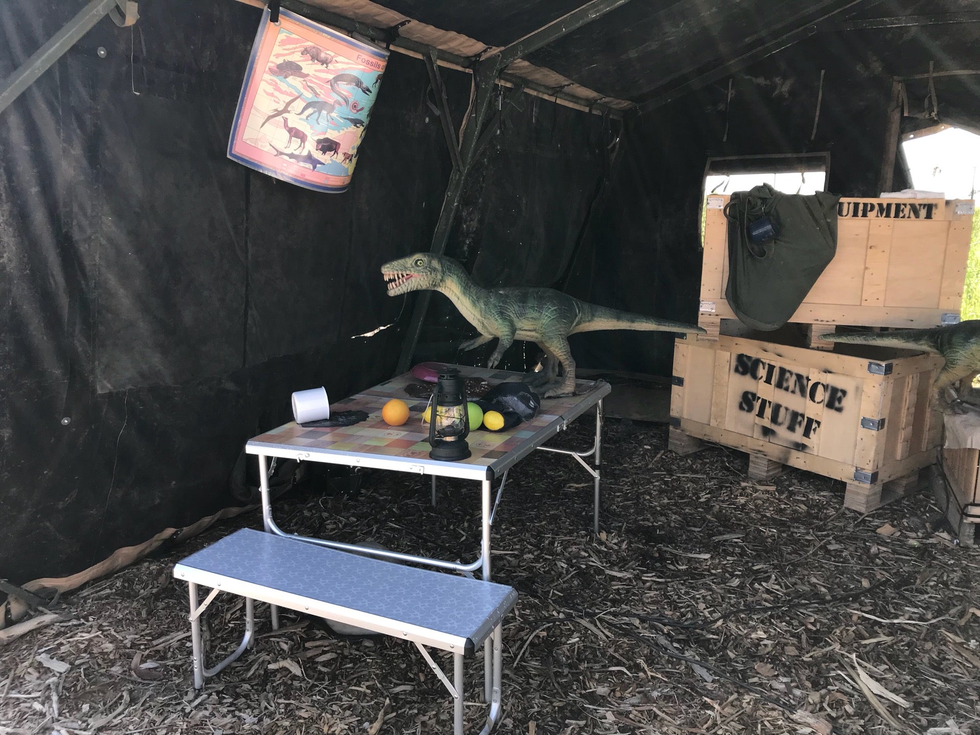 Field Station Dinosaurs, 2999 N Rock Rd, Derby, KS, Amusement Parks