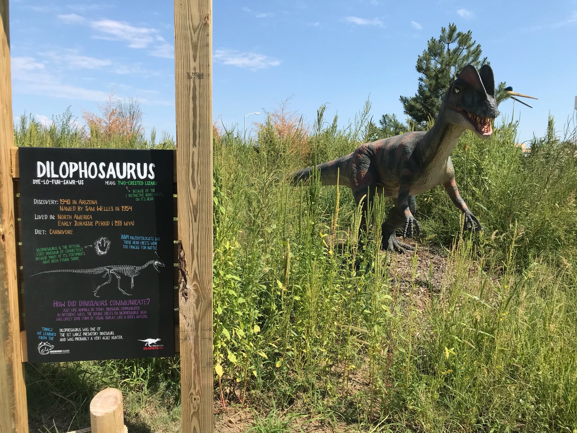 Field Station Dinosaurs, 2999 N Rock Rd, Derby, KS, Amusement Parks