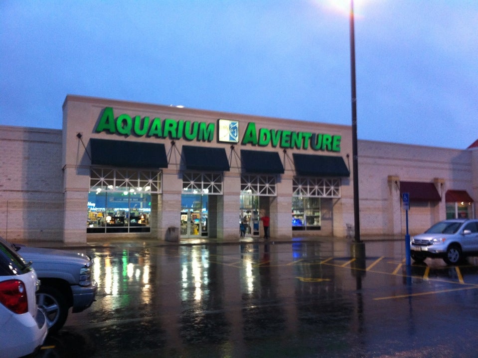 Aquarium superstore clearance