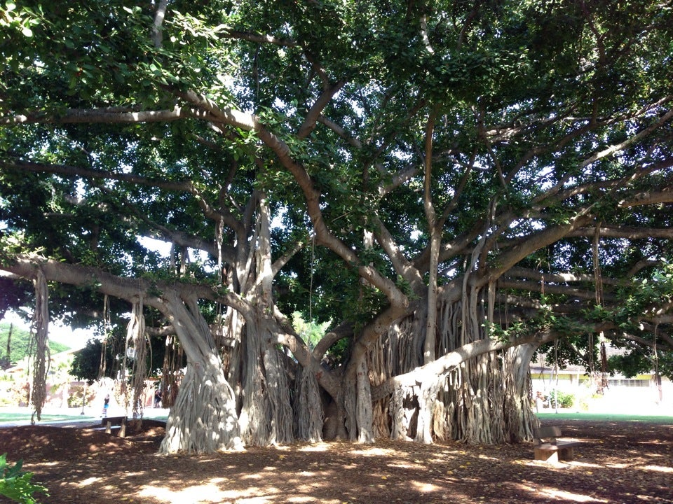 The Queen Street Park, Queen St, Honolulu, HI - MapQuest