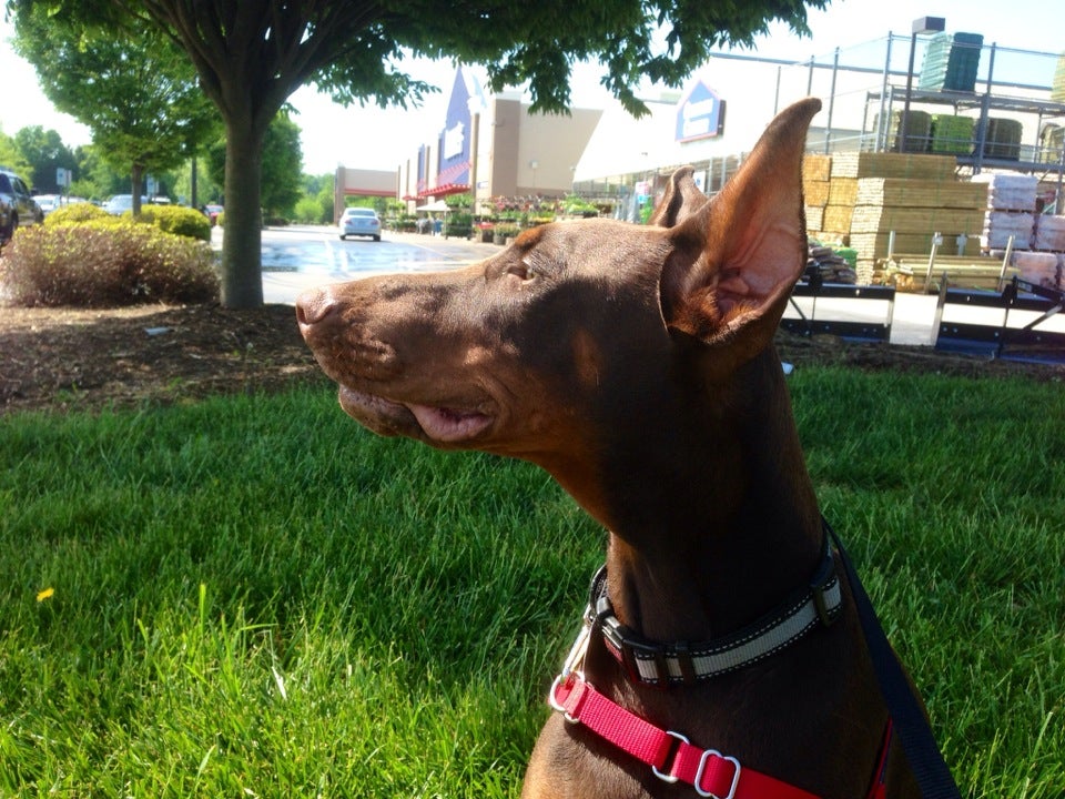 Lowe's Home Improvement, 1427 Yadkinville Road, Mocksville, NC