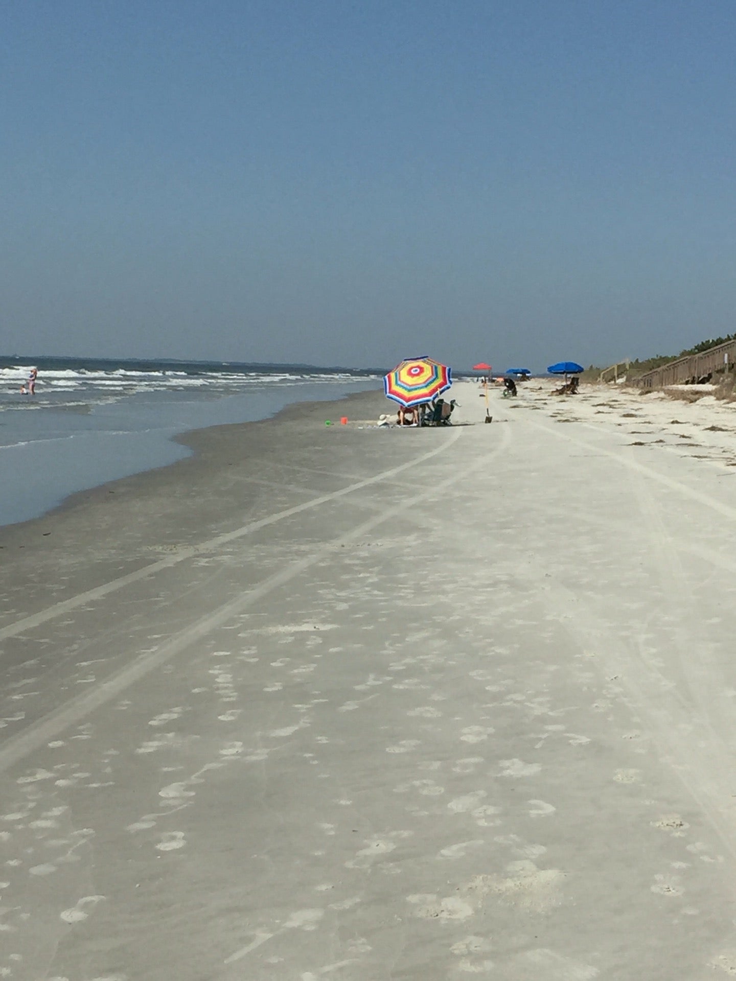 Villa on the Beach at Hilton Head, 24 Belted Kingfisher, Hilton Head
