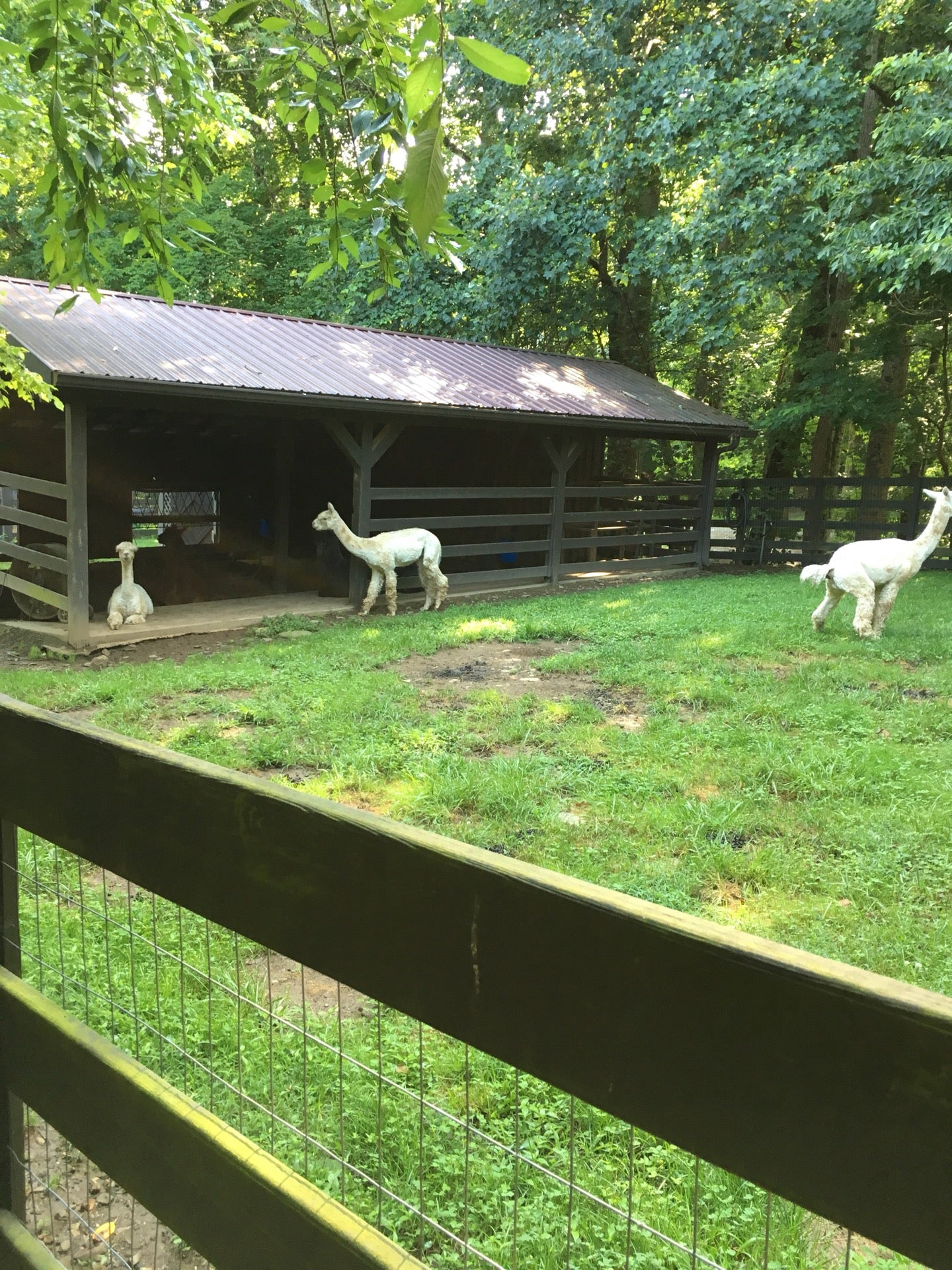 Andrews, NC Map & Directions MapQuest