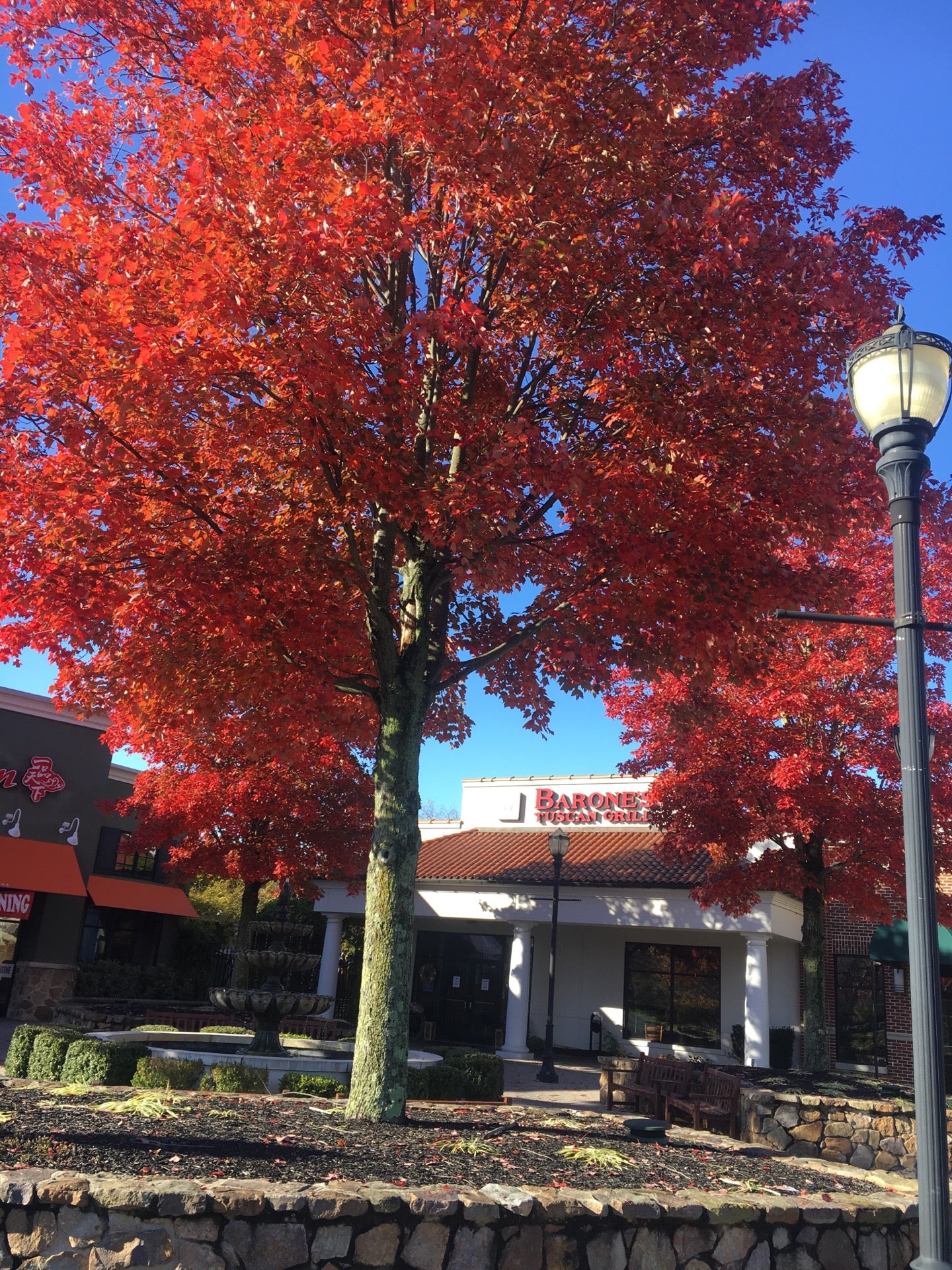 Restaurants In Moorestown Nj - qx8o0gf