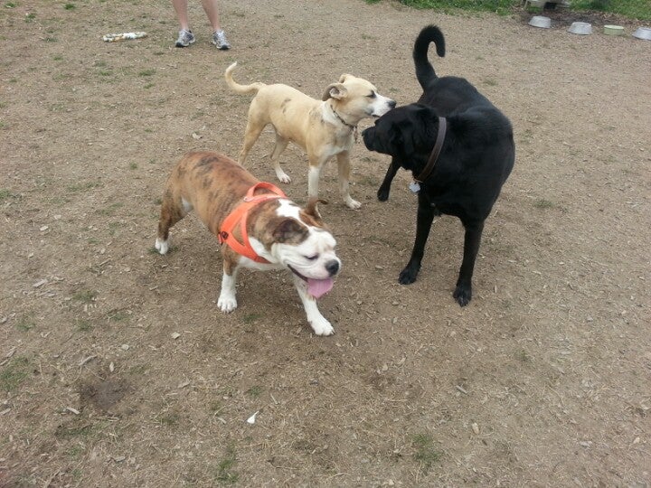 Waleska, GA Map & Directions MapQuest