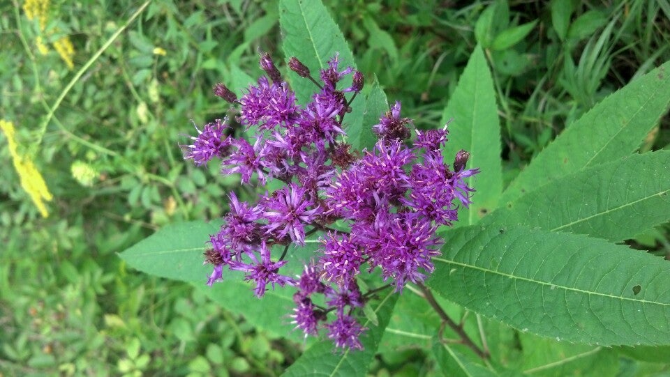 Bath, OH Map & Directions MapQuest