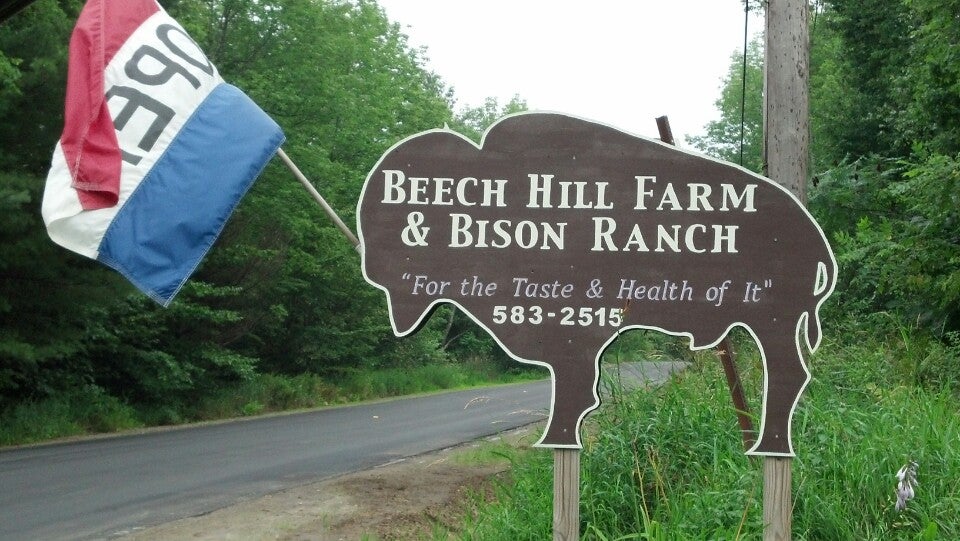 Beech Hill Farm & Bison, 630 Valley Rd, Waterford, ME, Meat and fish