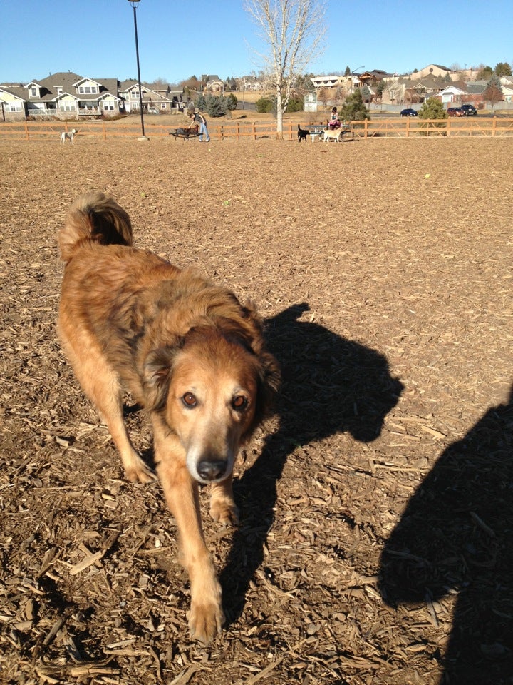 Fossil Creek Dog Park, Fort Collins, CO, Parks MapQuest