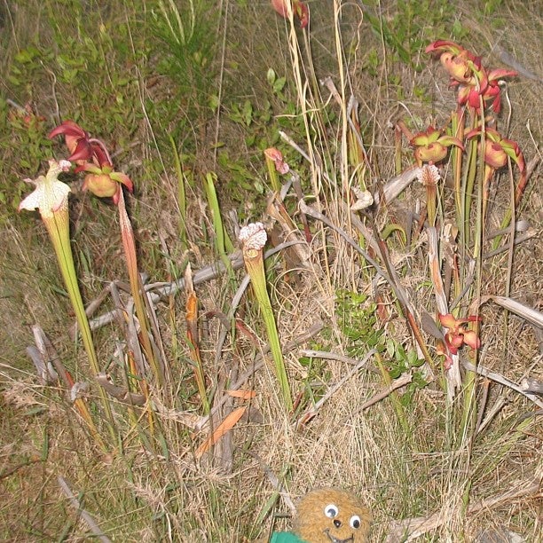Tarkiln Bayou Preserve State Park, 2401 Bauer Rd, Pensacola, FL MapQuest