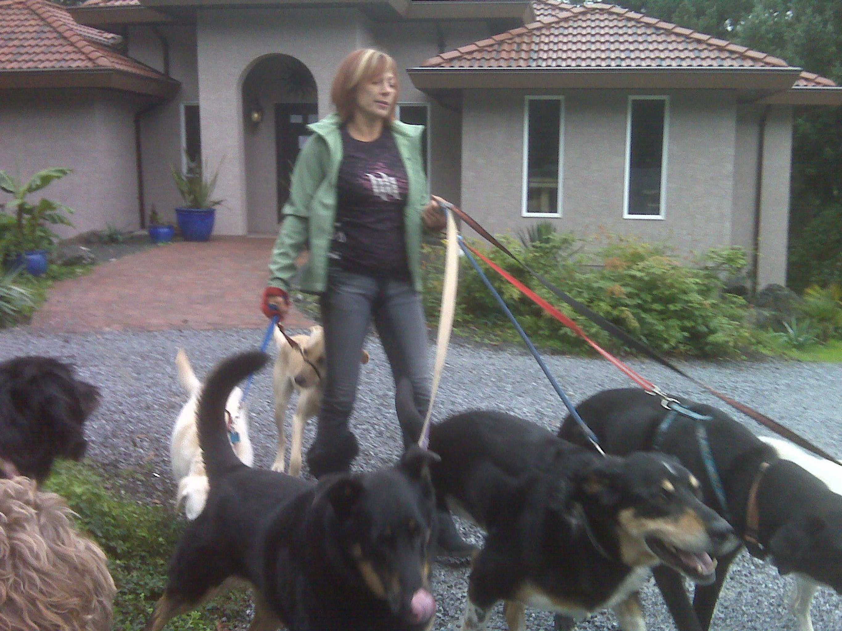 a-pawsh-oasis-pet-resort-inc-douglas-st-victoria-bc-mapquest