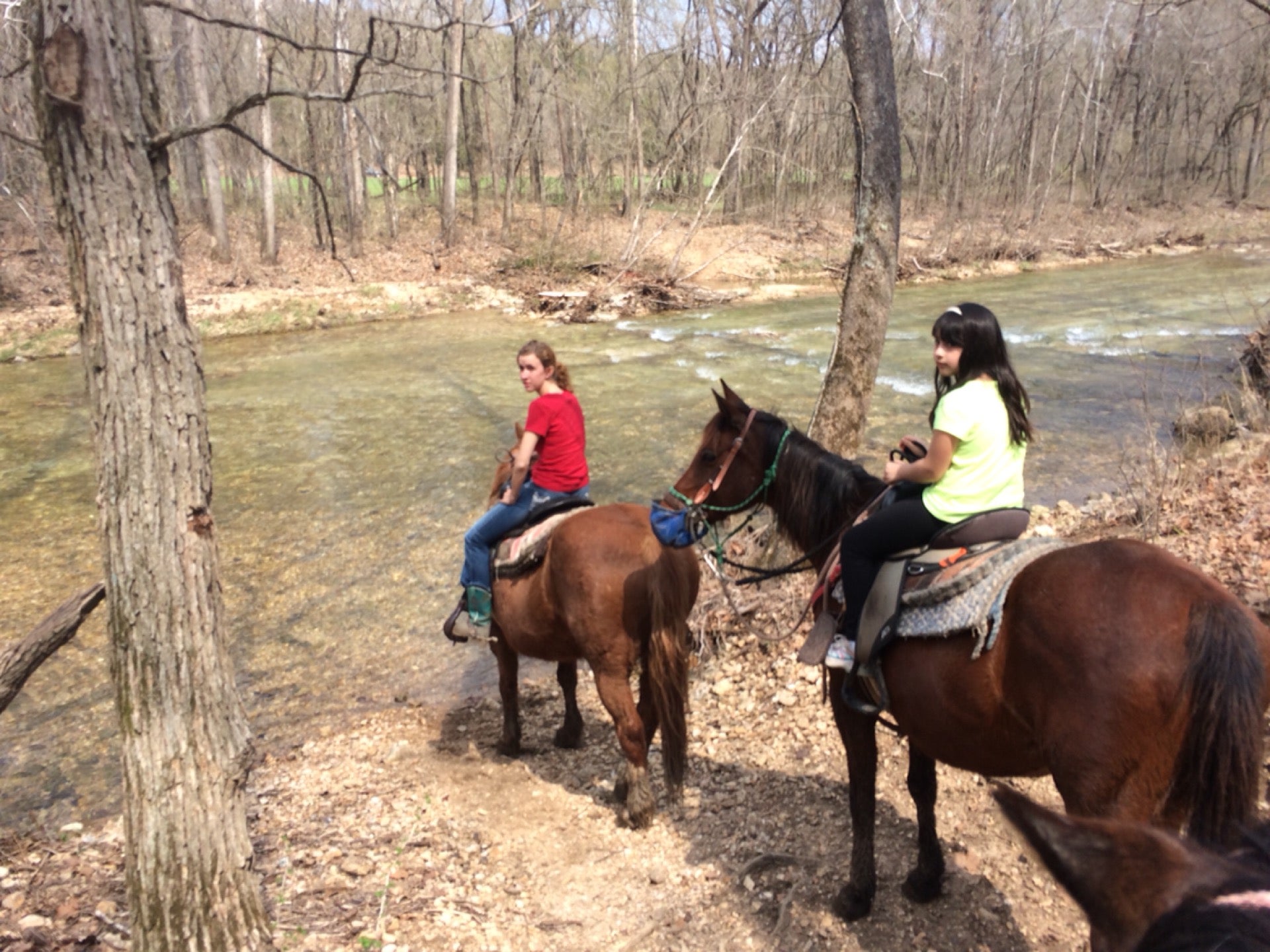 Taneyville, MO Map & Directions MapQuest
