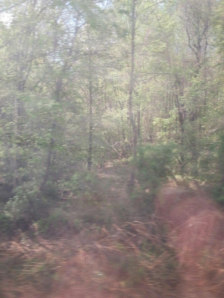 Burke Centre Amtrak/VRE Station, 10399 Premier Ct, Burke, VA, Commuter