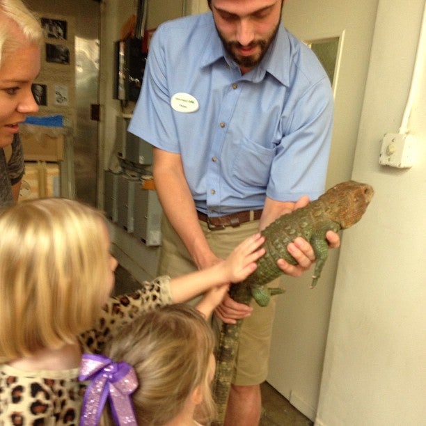 Reptile House, 2920 Zoo Dr, San Diego, CA, Zoos MapQuest