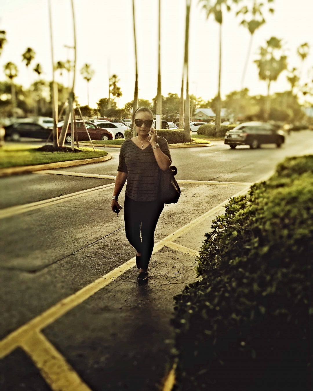 Country Walk Plaza, 1370713789 SW 152nd Street, Miami, FL, Liquor