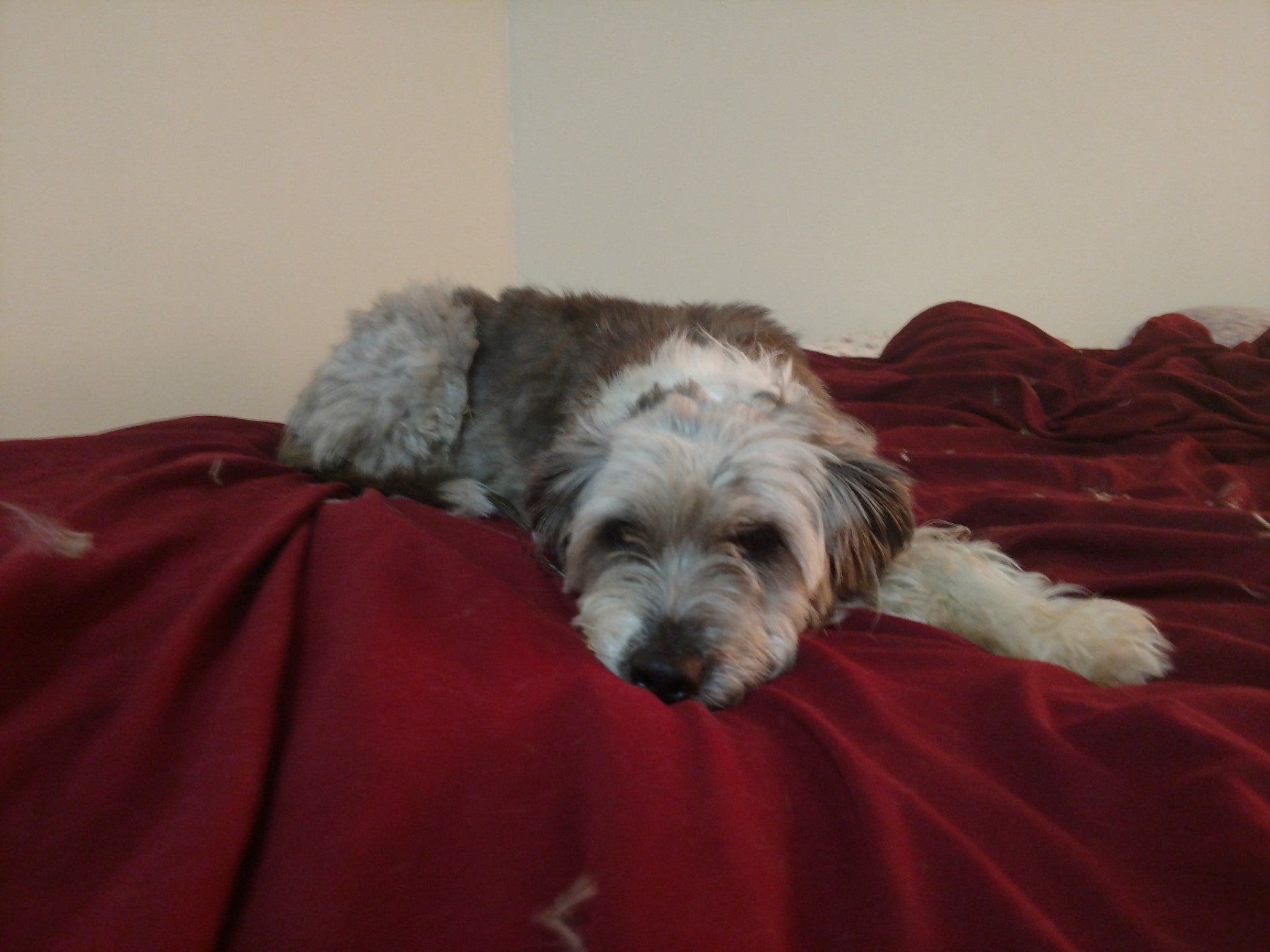 Crescent Beach, Owls Head Maine, Crescent Beach Rd, Owls Head, ME