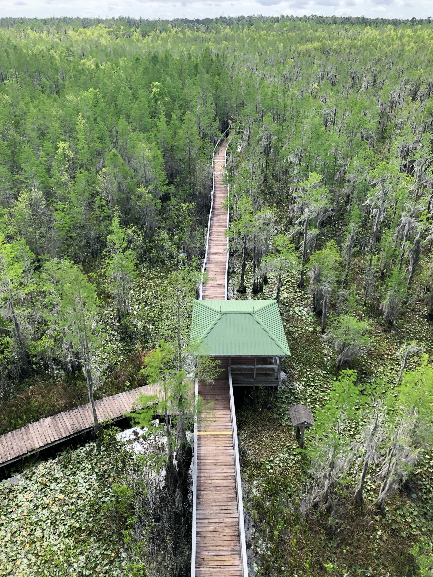 Grand Bay Wildlife Management Area, 4661 Knights Academy Rd, 4641