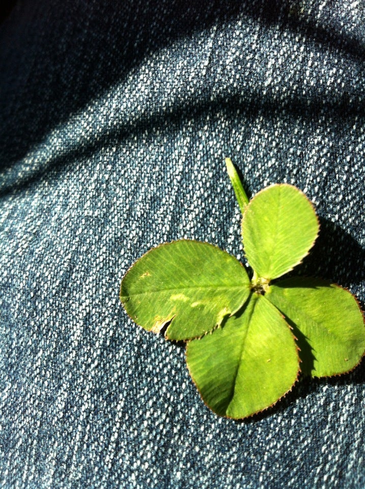 Delano Community Farm Market, 163 Needle Eye Ln, Delano, TN, Food