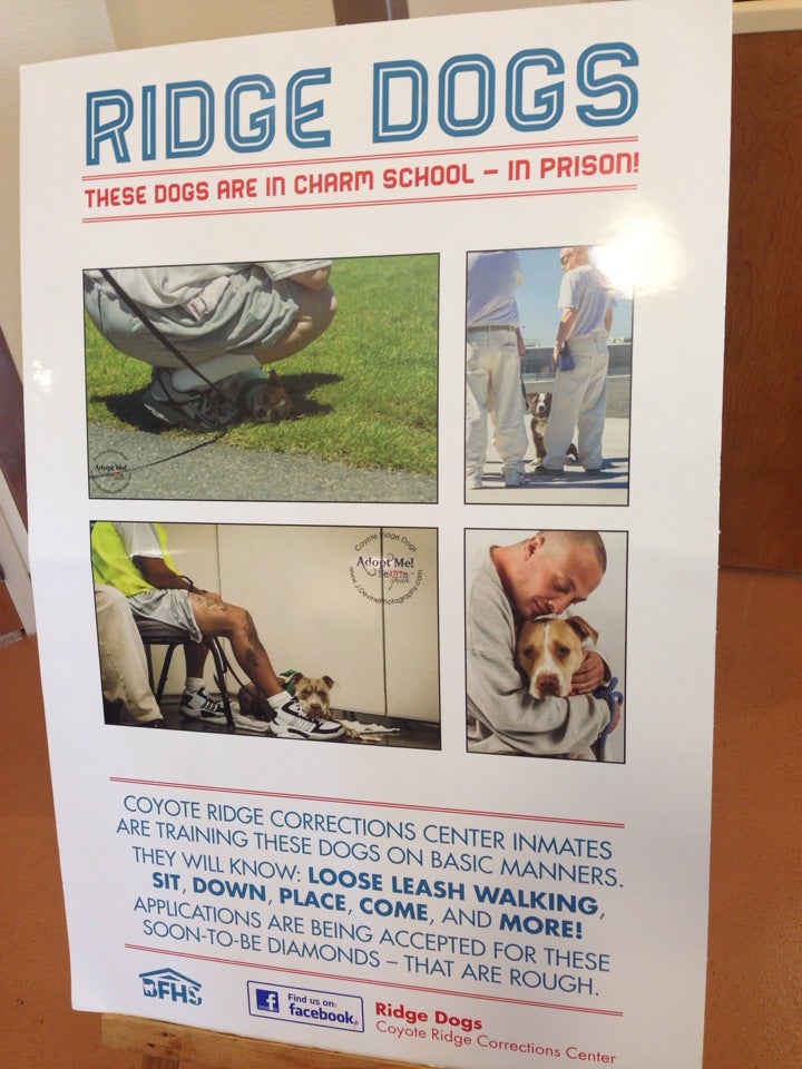 BentonFranklin Humane Society, 1736 E 7th Ave, Kennewick, WA, Animal