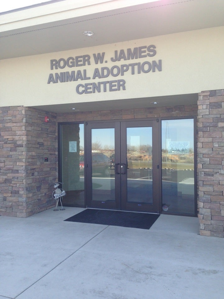 BentonFranklin Humane Society, 1736 E 7th Ave, Kennewick, WA, Animal