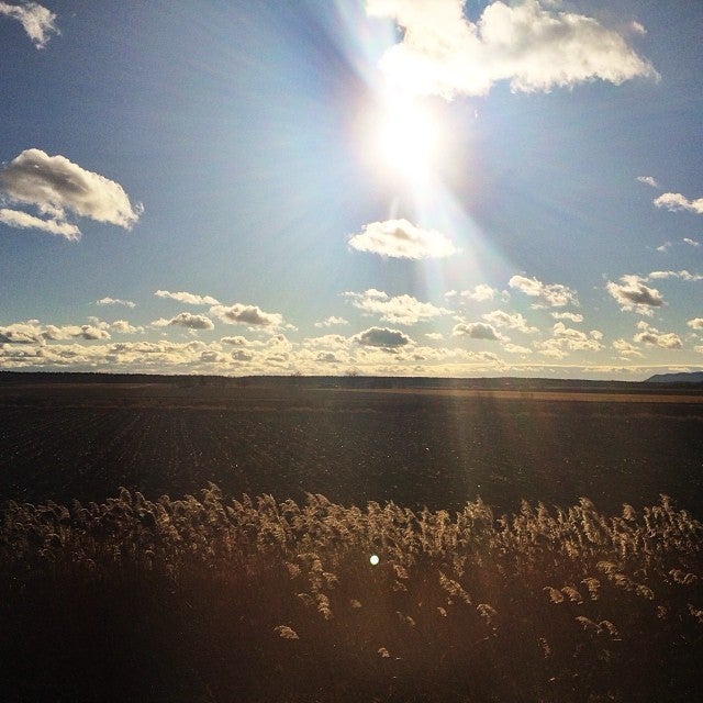 Gare de StHyacinthe Via Rail, 1450 Sicotte Rue, SaintHyacinthe, QC