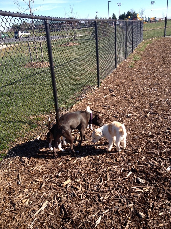 Ballenger Creek Dog Park, 212 S Carroll St, Frederick, MD, Parks MapQuest