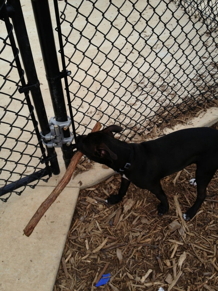 Ballenger Creek Dog Park, 212 S Carroll St, Frederick, MD, Parks MapQuest