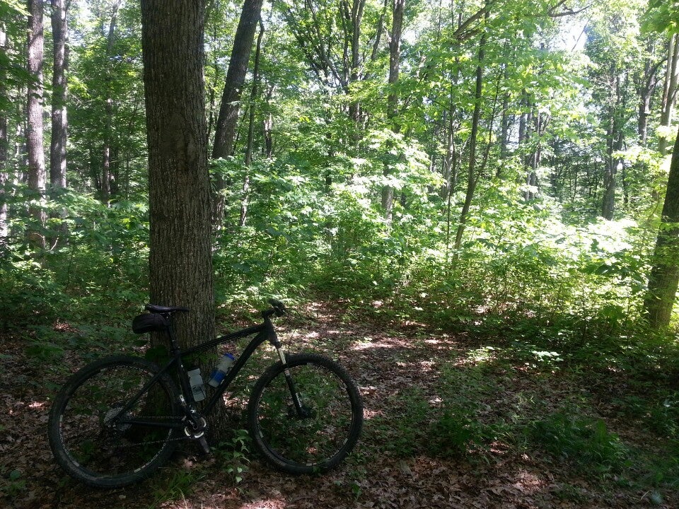 Hoosier National Forest, Maumee Rd, Nashville, IN, Forest MapQuest
