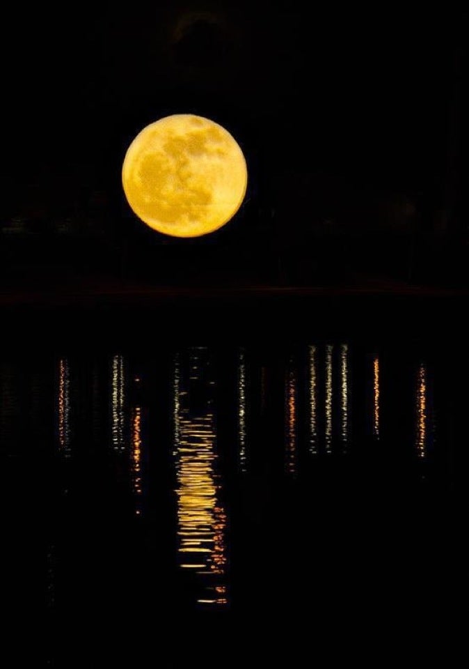 The Ocala Wine Experience, 36 SW 1st Ave, Ocala, FL, Liquor Stores