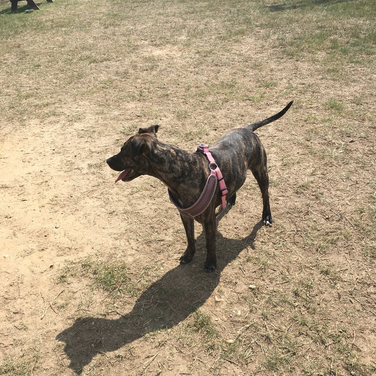 Weldon, NC Map & Directions MapQuest