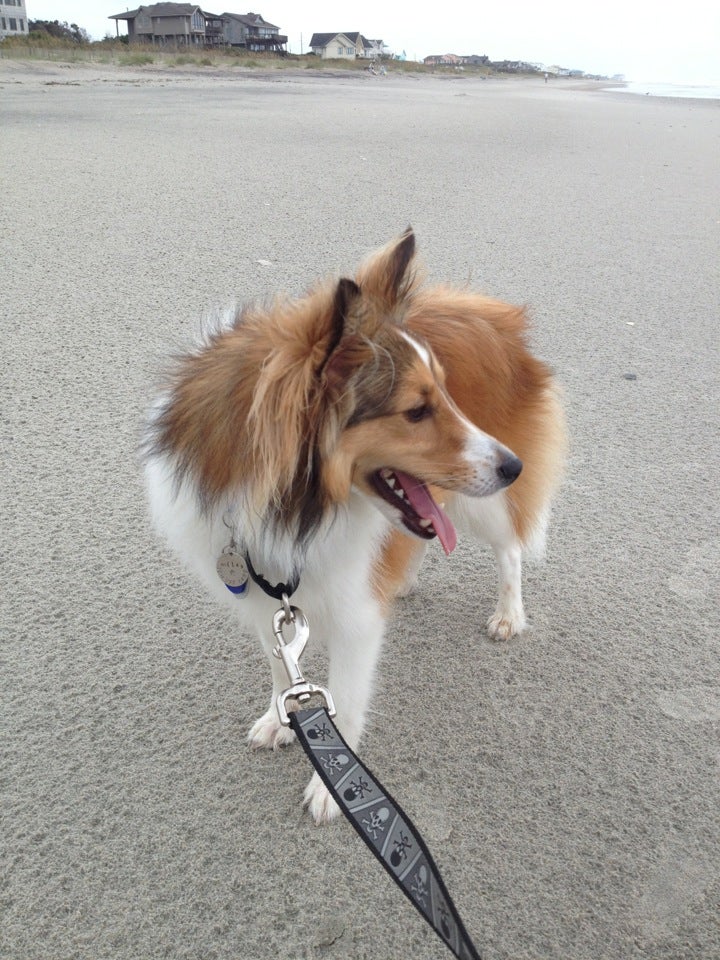 The Entire Atlantic Ocean, Salter Path Rd, Pine Knoll Shores, NC, Beach