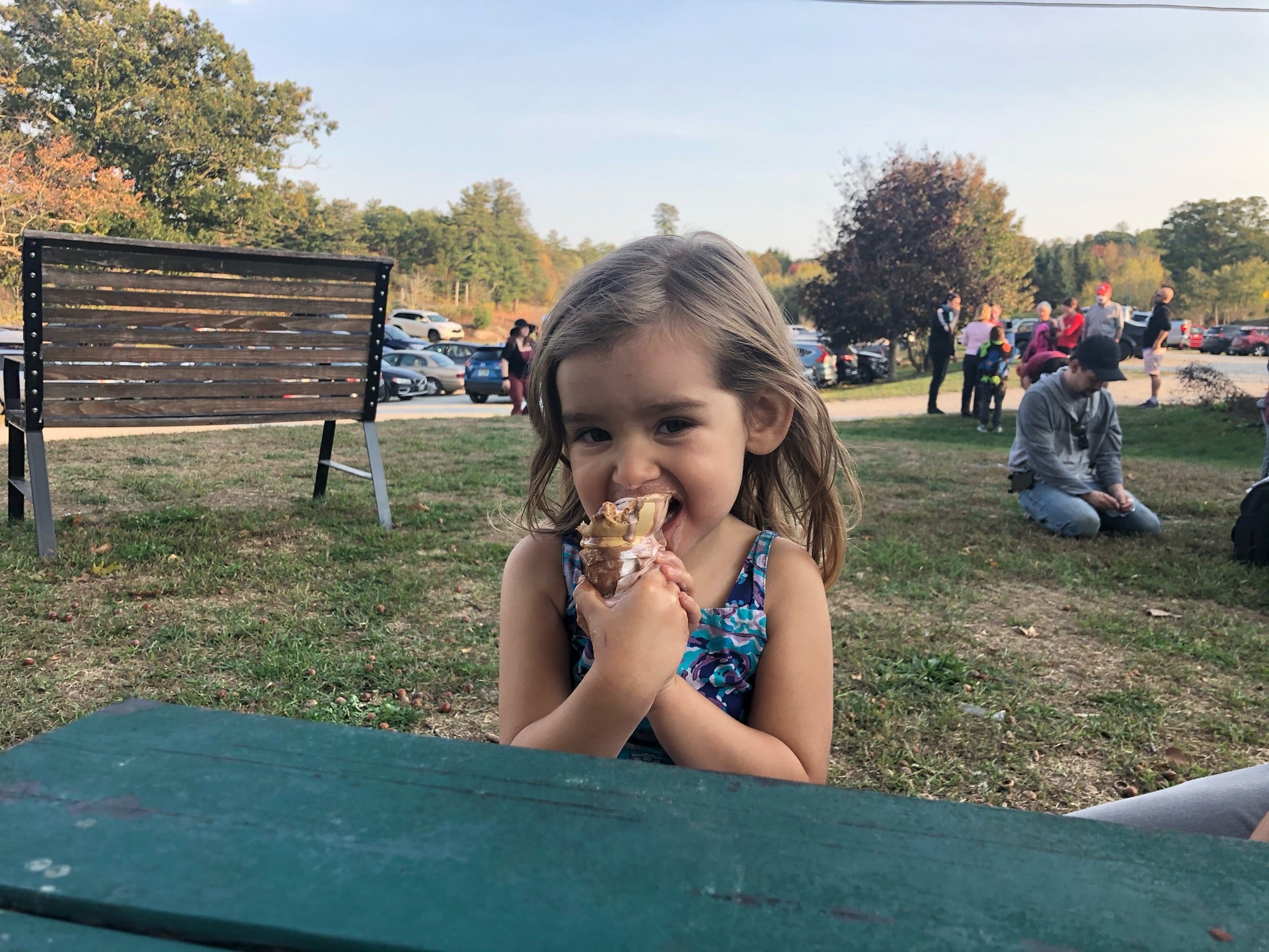 Beech Hill Farm & Ice Cream Barn, 107 Beech Hill Rd, Contoocook, NH