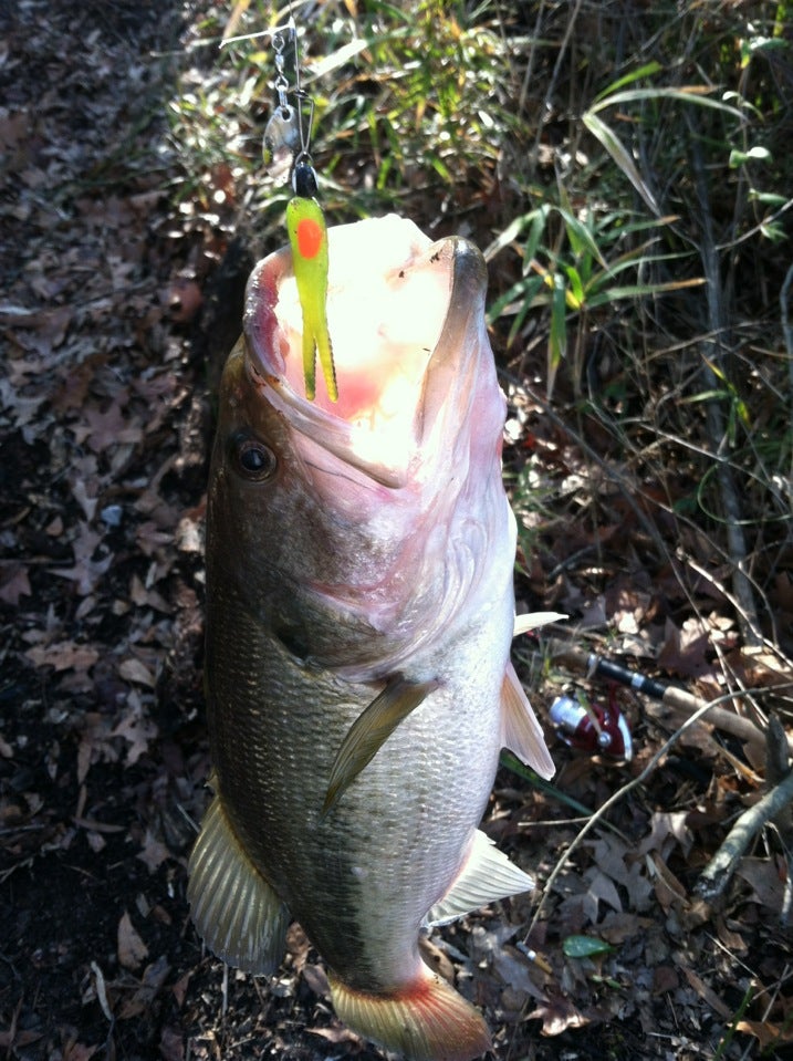 Port Terminal Boat Ramp, 3232 E 10th St, 3248, Greenville, NC MapQuest