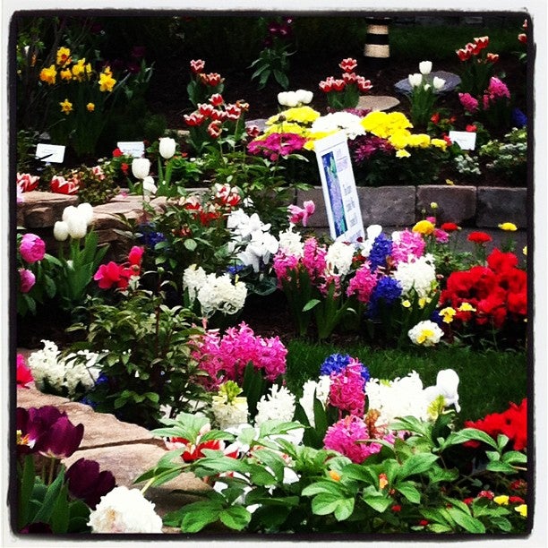 Adams Fairacre Farms, 1240 Route 300, Newburgh, Town of, New York