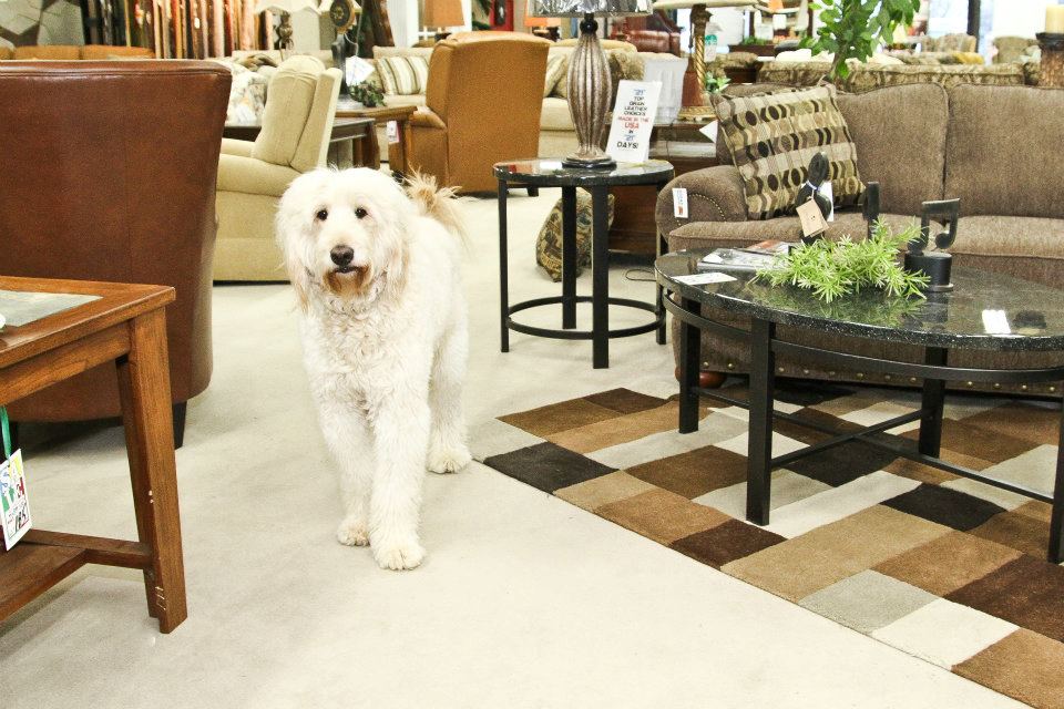 Sofas Unlimited And More 4713 Carlisle Pike Mechanicsburg Pa 17050