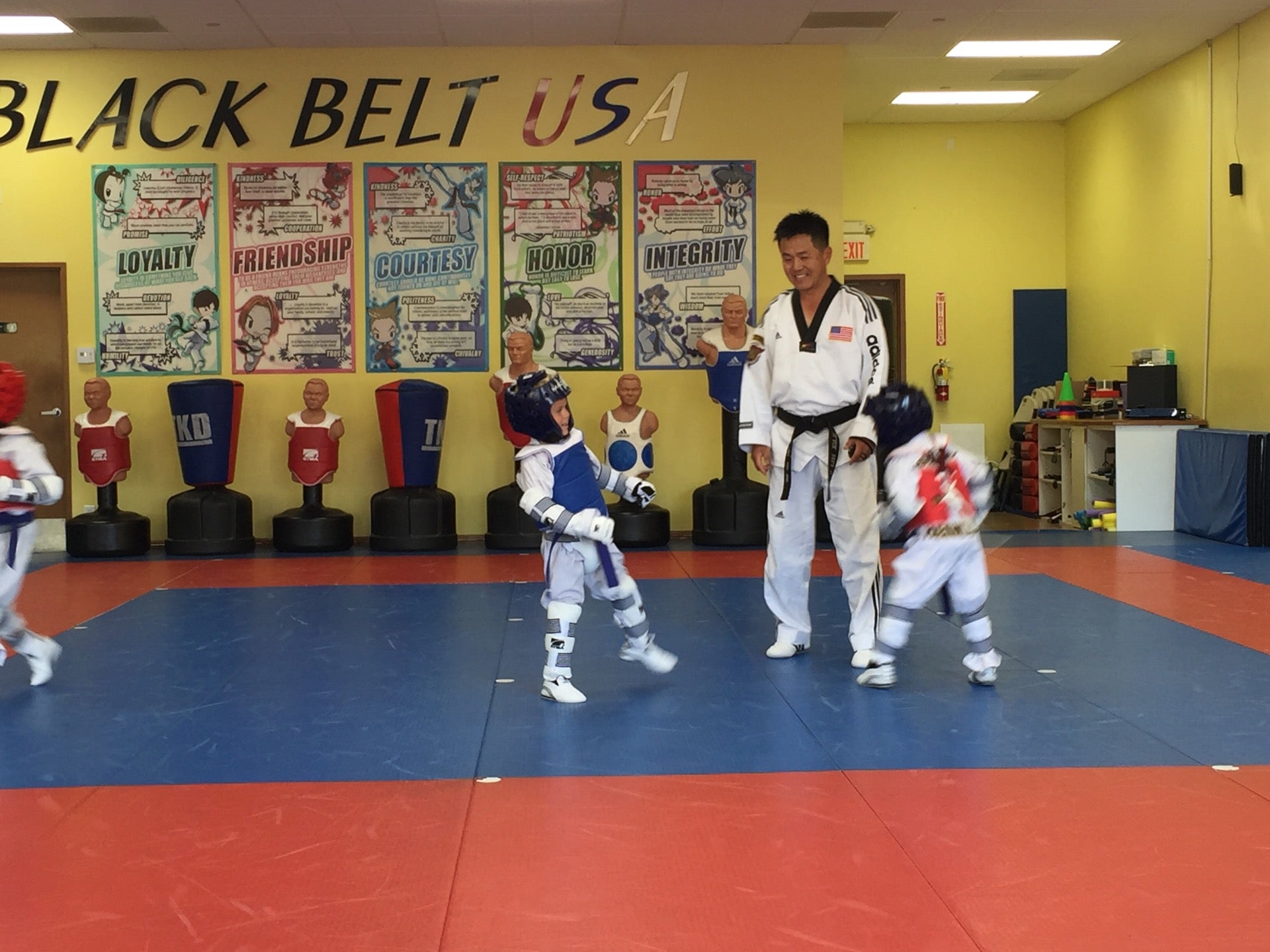 black belt world usa