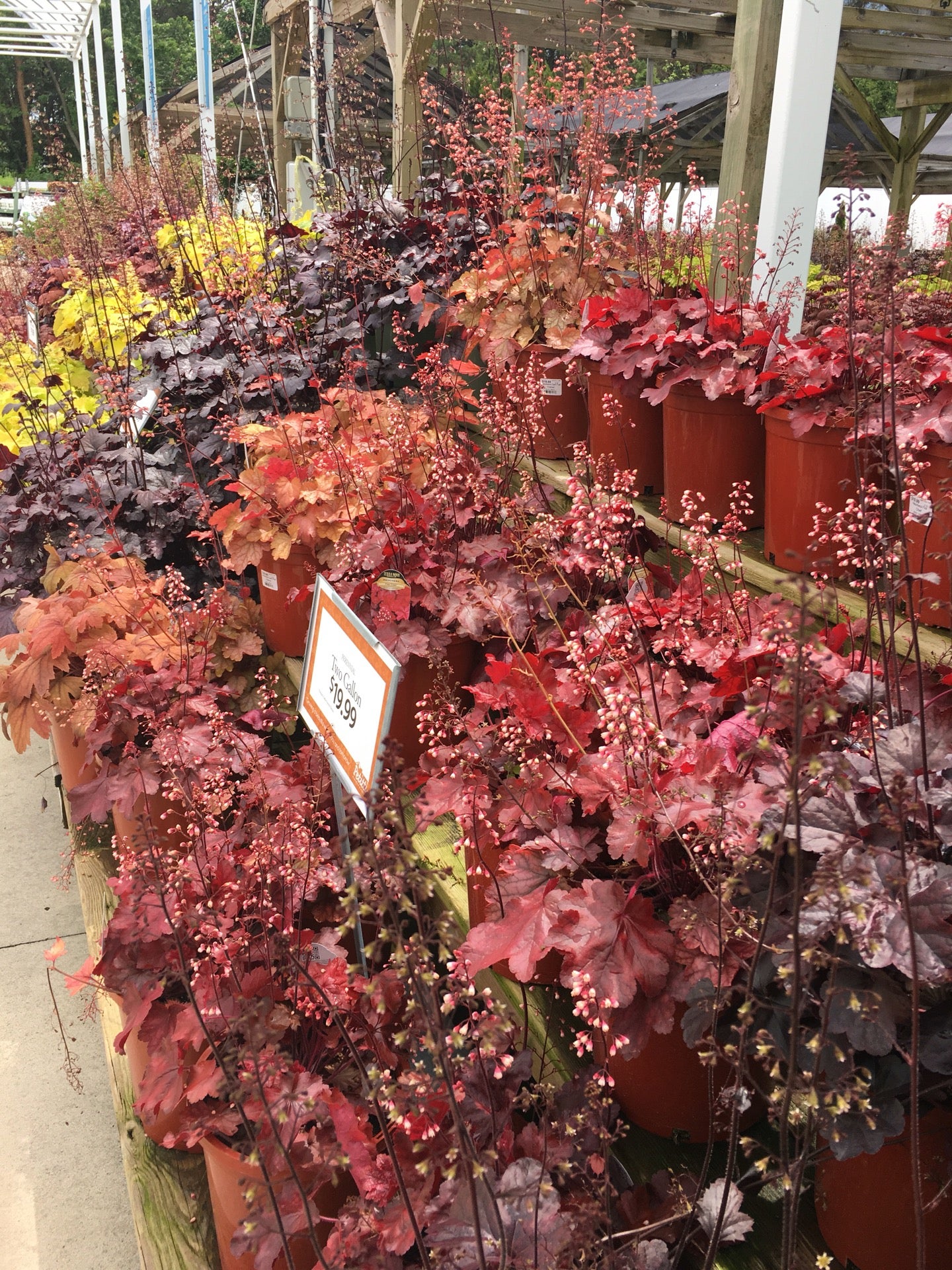 Petitti Garden Centers, 18941 Pearl Road, Strongsville, OH, Garden ...