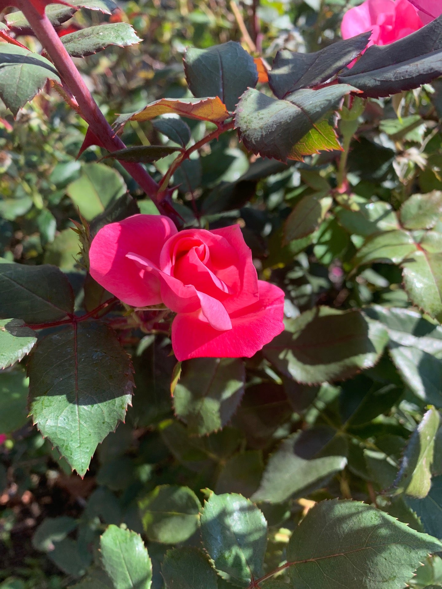 Sherborn, MA Map & Directions MapQuest