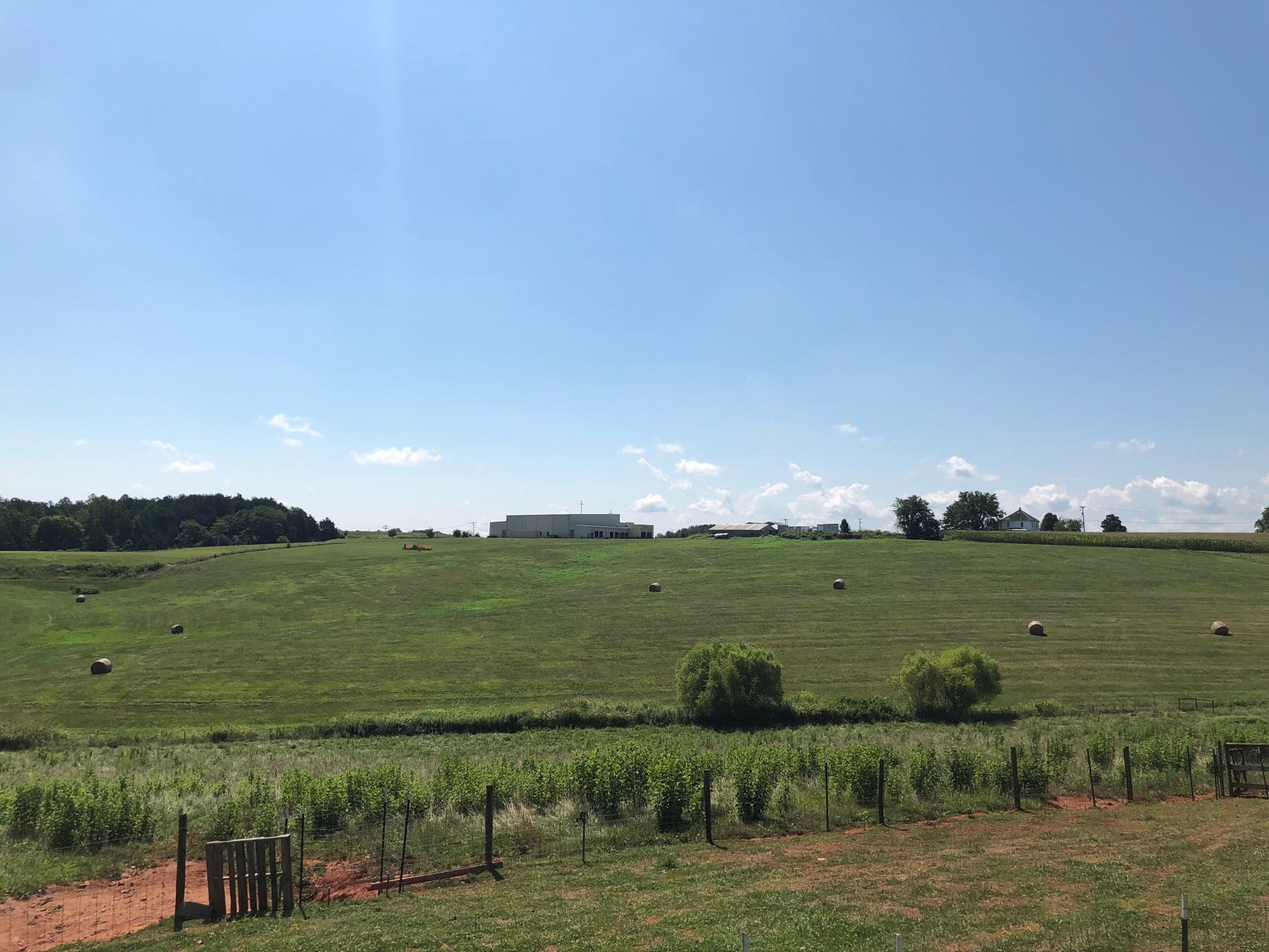 Homestead Creamery, 7254 Booker T Washington Hwy, Wirtz, VA, Eating