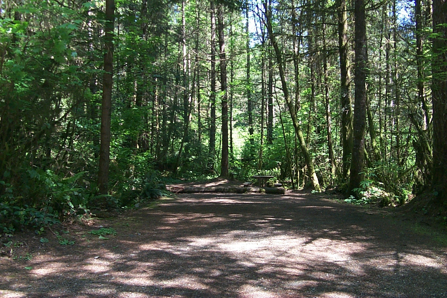 Lewis and Clark State Park, 4583 Jackson Hwy, Winlock, WA, Parks MapQuest