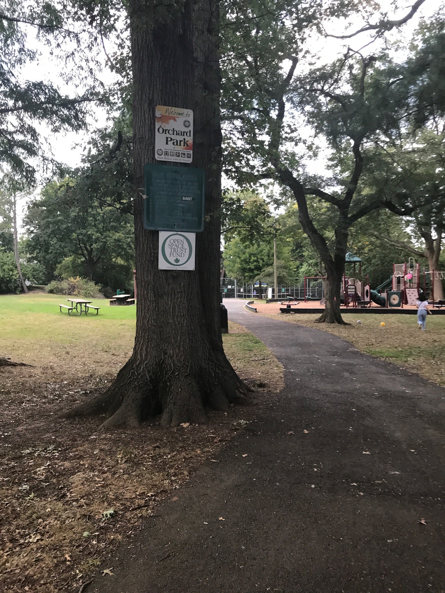 Maplewood, NJ Map & Directions MapQuest