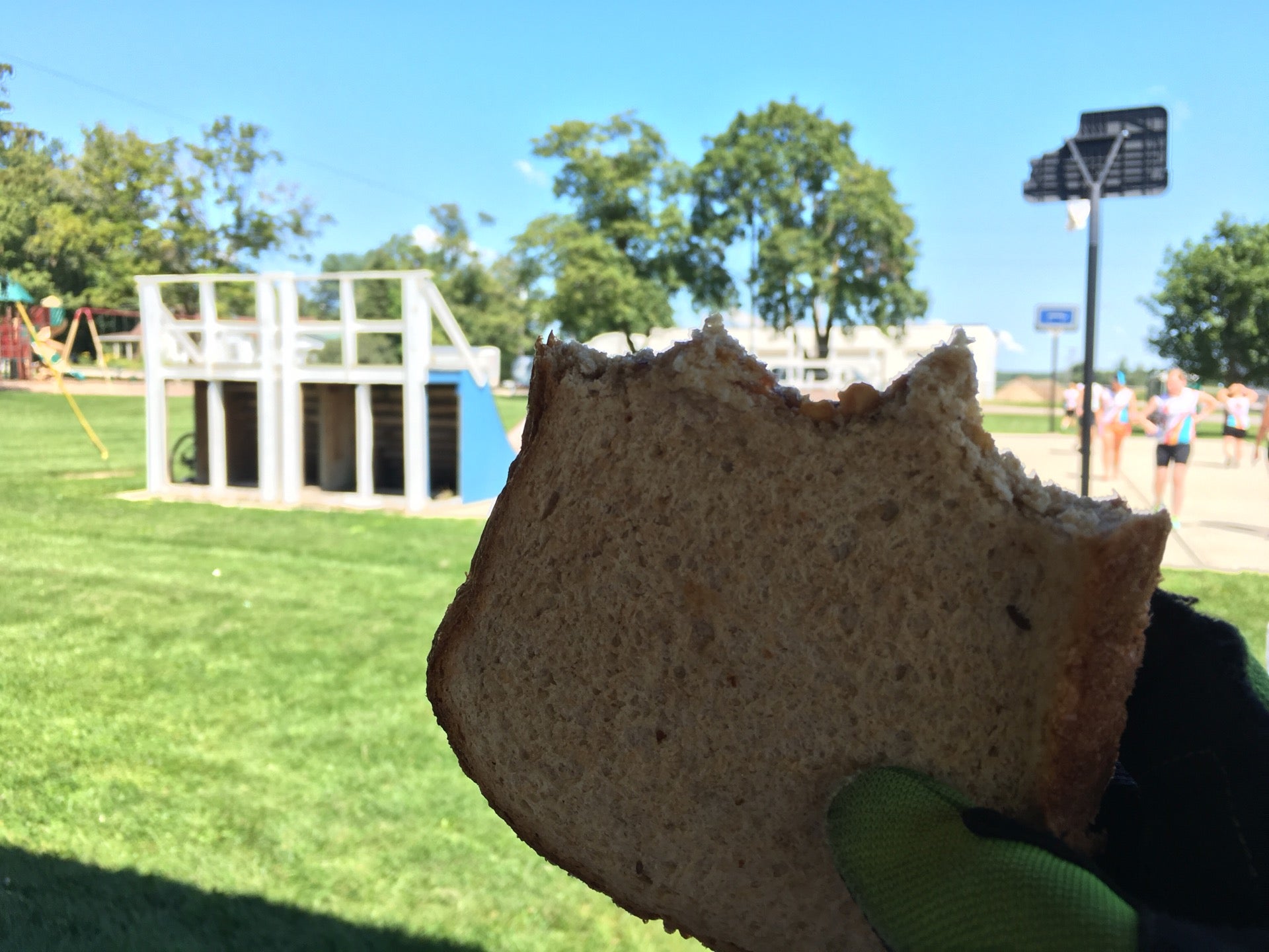 North Branch Memorial Park, Brush St, North Branch, MI, Parks MapQuest